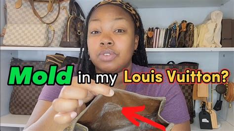 how to remove mold from louis vuitton bag|Louis Vuitton Handbag Cleaning and Restoration .